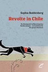 Revolte in Chile