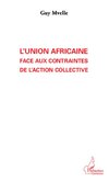 L'Union Africaine face aux contraintes de l'action collective