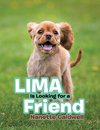 Lima Is Looking for a Friend