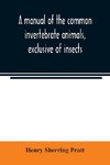 A manual of the common invertebrate animals, exclusive of insects