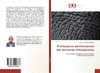 Pratiques et performances des tanneries éthiopiennes