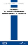 L'émergence des formes d'organisation dans les groupes de formation