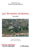 Les terrassiers de Bukavu