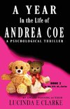 A Year in The Life of Andrea Coe