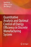 Quantitative Analysis and Optimal Control of Energy Efficiency in Discrete Manufacturing System