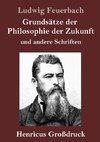 Grundsätze der Philosophie der Zukunft (Großdruck)