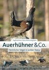 Auerhühner & Co.