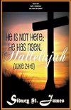 Hallelujah - He is not Here; He Has Risen (Luke 24