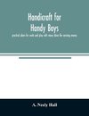 Handicraft for handy boys;