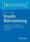 Visuelle Wahrnehmung