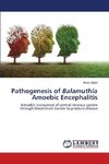 Pathogenesis of Balamuthia Amoebic Encephalitis