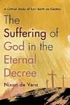 The Suffering of God in the Eternal Decree