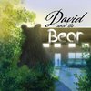 David and the Bear