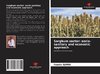 Sorghum sector: socio-sanitary and economic approach