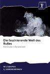 Die faszinierende Welt des Rußes