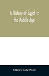 A history of Egypt in the Middle Ages