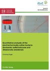 Quantitative analysis of the electrochemically active bacteria Geobacter sulfurreducens and Shewanella oneidensis