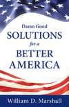 Damn Good Solutions for a Better America