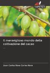 Il meraviglioso mondo della coltivazione del cacao