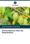 Die wunderbare Welt des Kakaoanbaus