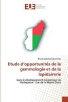 Etude d'opportunités de la gemmologie et de la lapidairerie