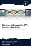 El mundo del microARN-377 y la esclerosis múltiple