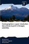 Cartographie à super résolution des arbres à partir d'images satellites