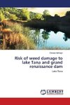 Risk of weed damage to lake Tana and grand renaissance dam