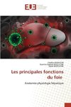 Les principales fonctions du foie