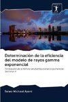 Determinación de la eficiencia del modelo de rayos gamma exponencial