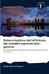 Determinazione dell'efficienza del modello esponenziale-gamma