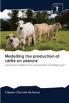 Modelling the production of cattle on pasture