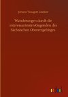 Wanderungen durch die interessantesten Gegenden des Sächsischen Obererzgebirges