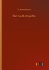 The Youth of Goethe