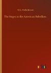 The Negro in the American Rebellion