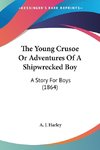 The Young Crusoe Or Adventures Of A Shipwrecked Boy
