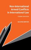 Non-International Armed Conflicts in International Law