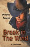 Break in The Wind