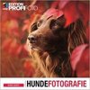 Hundefotografie