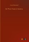 My Three Years in America