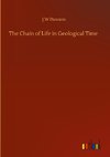 The Chain of Life in Geological Time