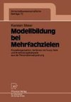 Modellbildung bei Mehrfachzielen