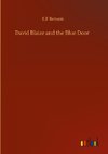 David Blaize and the Blue Door