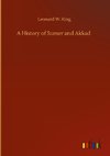 A History of Sumer and Akkad