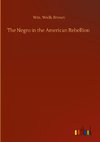 The Negro in the American Rebellion