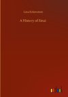 A History of Sinai