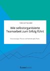 Wie selbstorganisierte Teamarbeit zum Erfolg führt. Voraussetzungen, Chancen und Nachteile agiler Teams