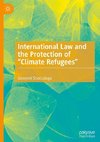 International Law and the Protection of 