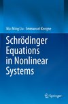 Schrödinger Equations in Nonlinear Systems