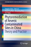 Phytoremediation of Arsenic Contaminated Sites in China